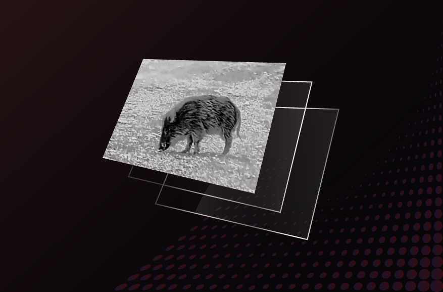Full-HD-AMOLED-Display