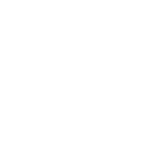 Zoomring