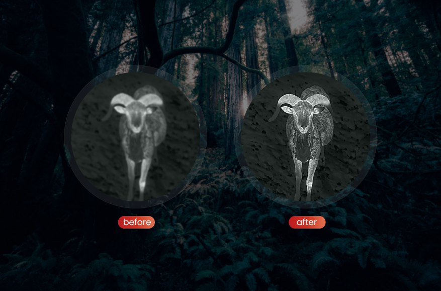 Adaptiver dynamischer Filteralgorithmus von PureIR (PureIR)